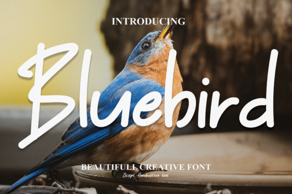 Bluebird Font - Featured Image