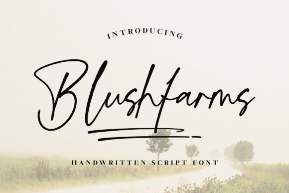 Blushfarms Font - Featured Image