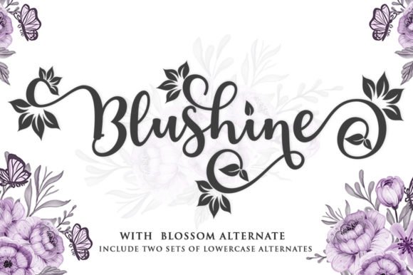 Blushine Script Font - Featured Image