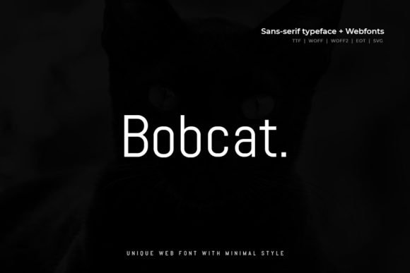 Bobcat Font - Featured Image