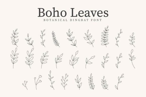 Boho Leaves Font - Featured Image