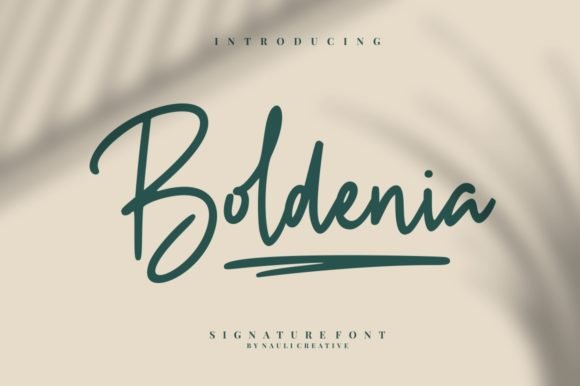 Boldenia Font - Featured Image