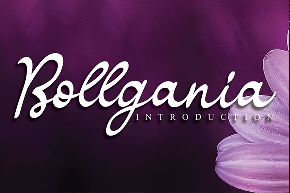 Bollgania Font - Featured Image