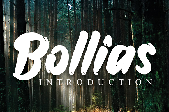Bollias Font - Featured Image
