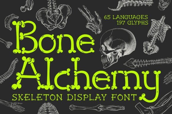 Bone Alchemy Font - Featured Image