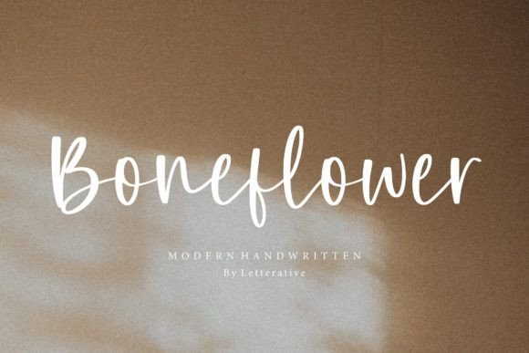 Boneflower Font - Featured Image