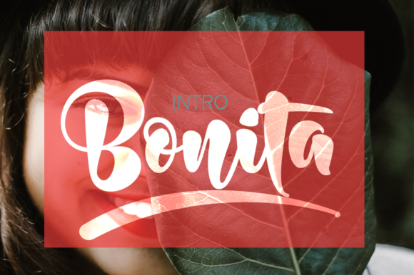 Bonita Font - Featured Image