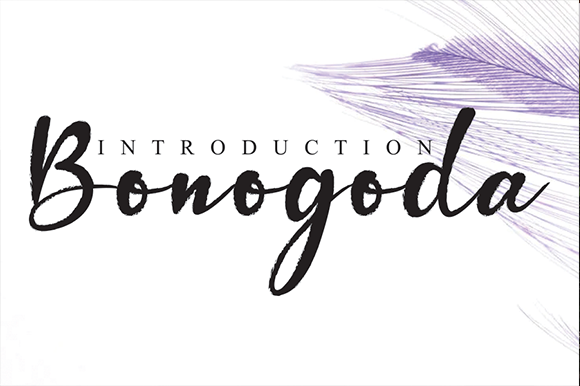 Bonogoda Font - Featured Image