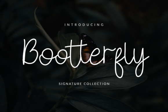 Bootterfly Font - Featured Image