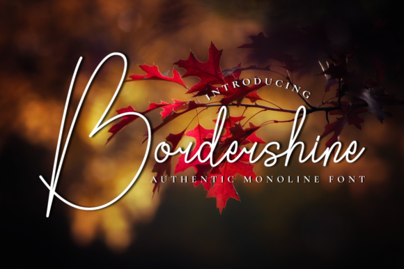 Bordershine Font - Featured Image
