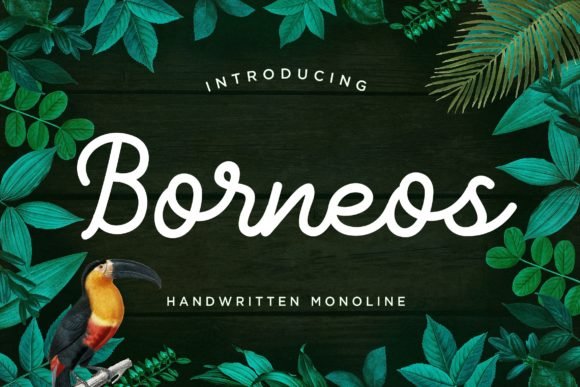 Borneos Font - Featured Image