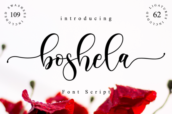 Boshela Script Font - Featured Image