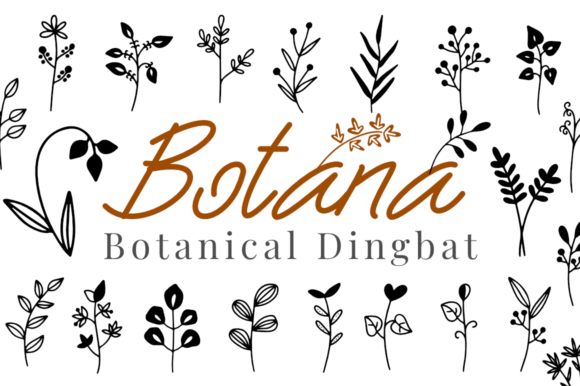 Botana Font - Featured Image