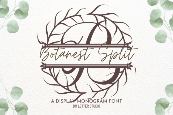 Botanest Split Monogram Font - Featured Image
