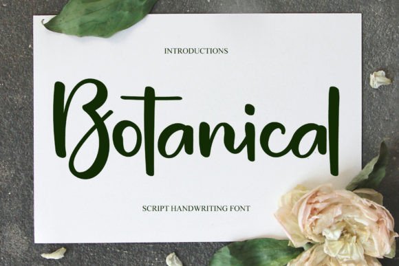 Botanical Font - Featured Image