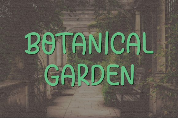 Botanical Garden Font - Featured Image