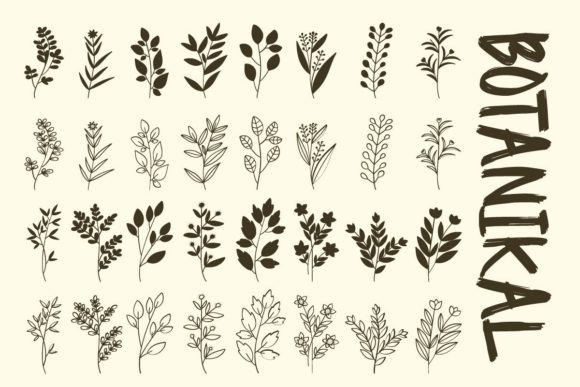 Botanikal Font - Featured Image