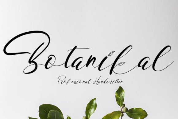 Botanikal Font - Featured Image