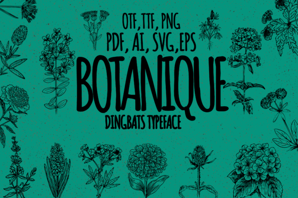 Botanique Font - Featured Image