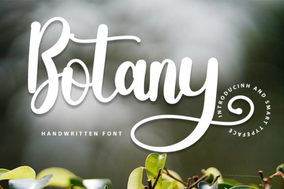 Botany Font - Featured Image