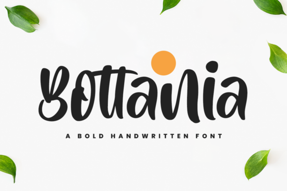 Bottania Font - Featured Image