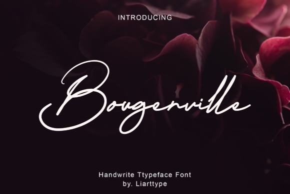 Bougenville Font - Featured Image