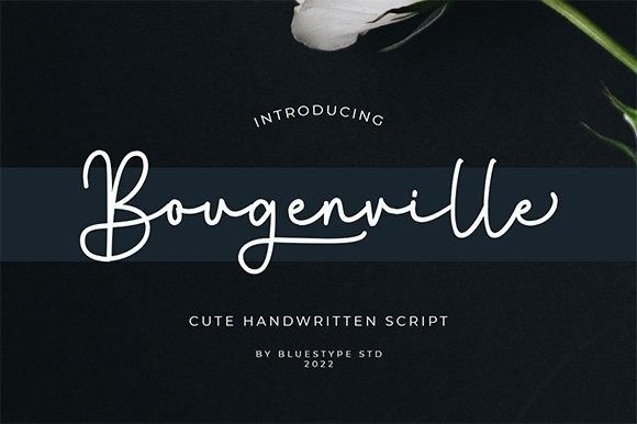 Bougenville Font - Featured Image