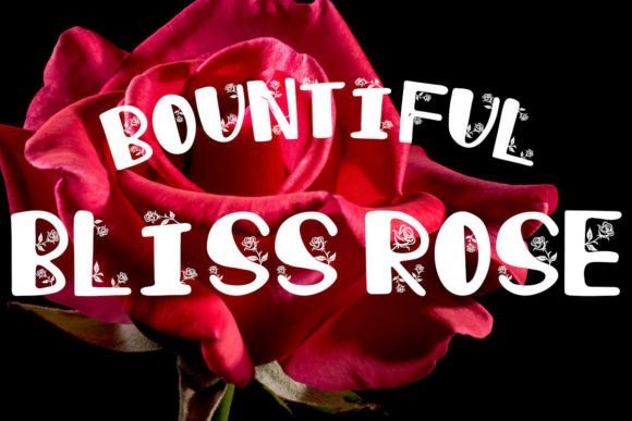 Bountiful Bliss Rose Font - Featured Image