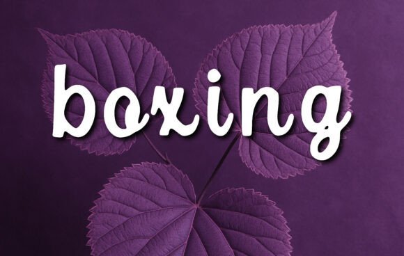 Boxing Font - Featured Image