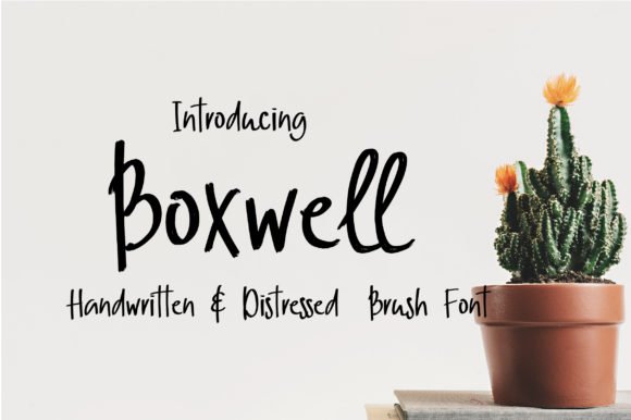 Boxwell Font - Featured Image