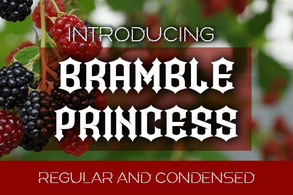 Bramble Princess Font - Featured Image