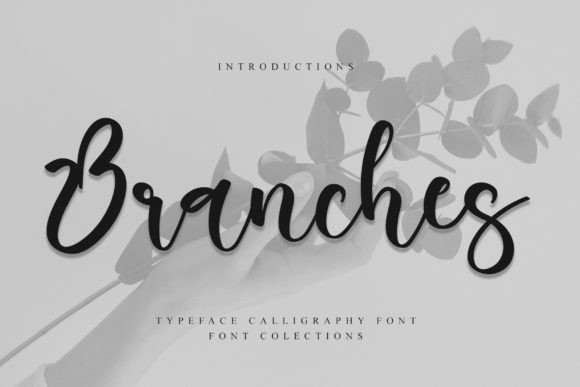 Branches Font - Featured Image