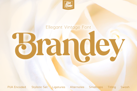 Brandey Font - Featured Image