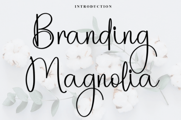 Branding Magnolia Font - Featured Image