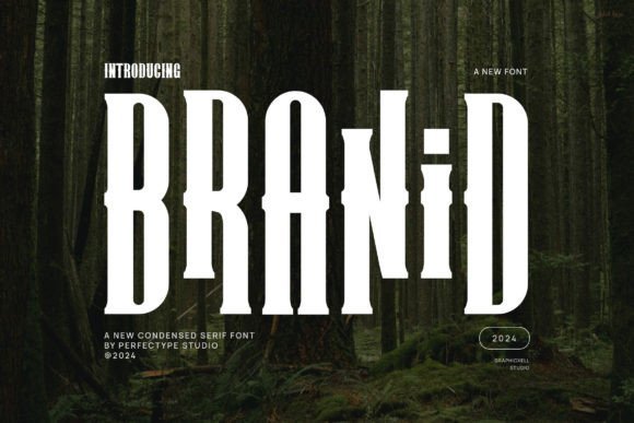 Branid Font - Featured Image