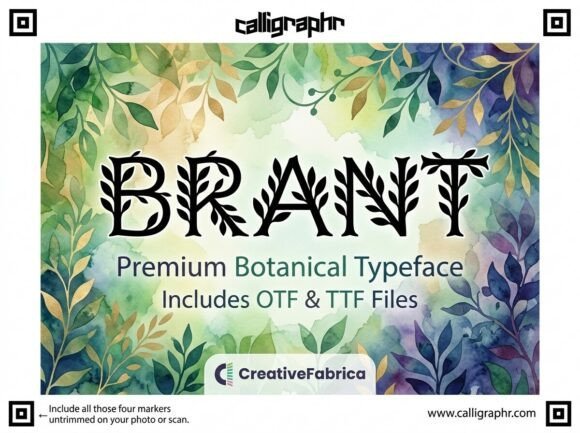Brant Font - Featured Image