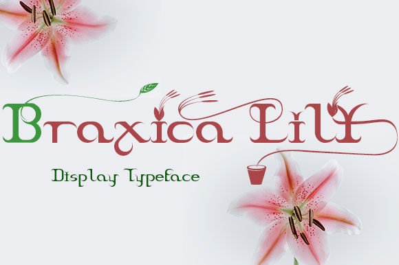 Braxica Lily Font - Featured Image