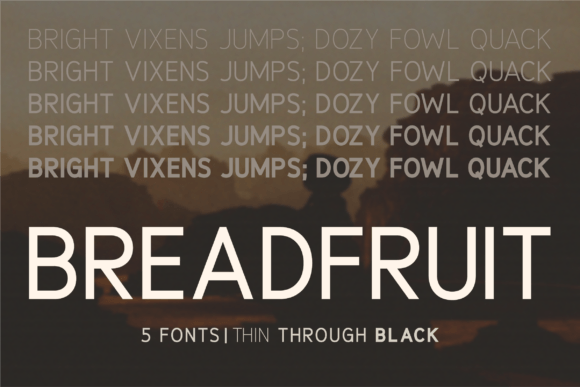 Breadfruit Font - Featured Image
