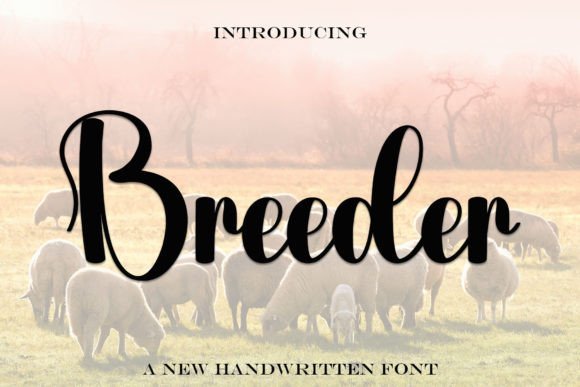 Breeder Font - Featured Image