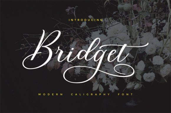 Bridget Script Font - Featured Image