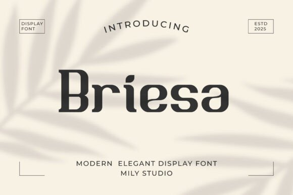 Briesa Font - Featured Image