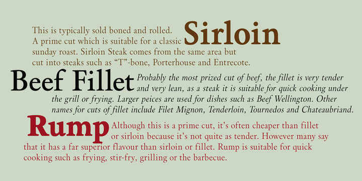 Brigade Family Font - Featured Image