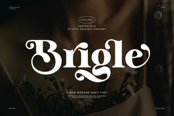 Brigle Font - Featured Image