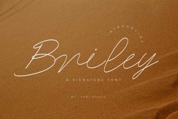 Briley Font - Featured Image