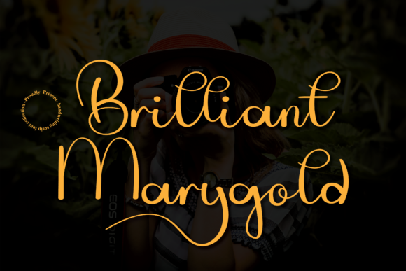 Brilliant Marygold Font - Featured Image
