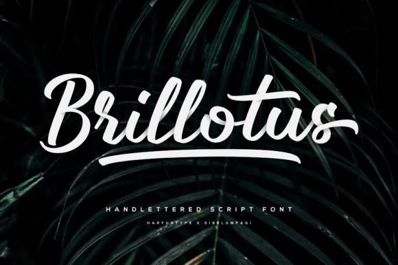 Brillotus Font - Featured Image