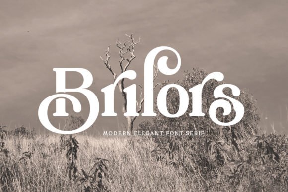 Brilors Font - Featured Image