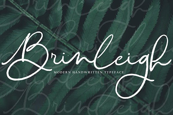 Brinleigh Font - Featured Image