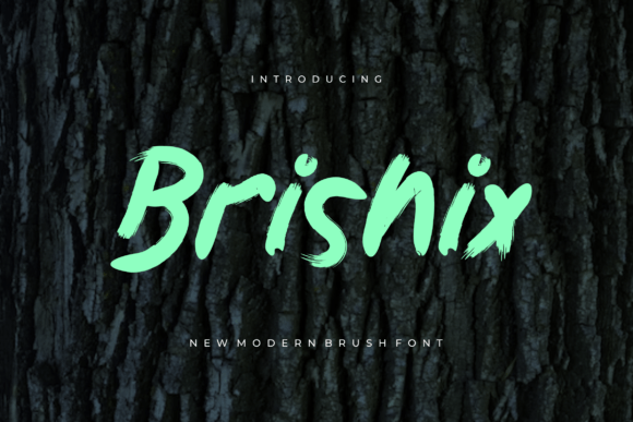 Brishix Font - Featured Image