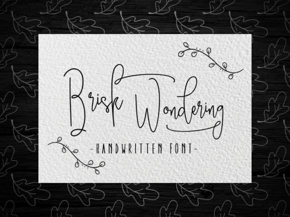 Brisk Wondering Font - Featured Image